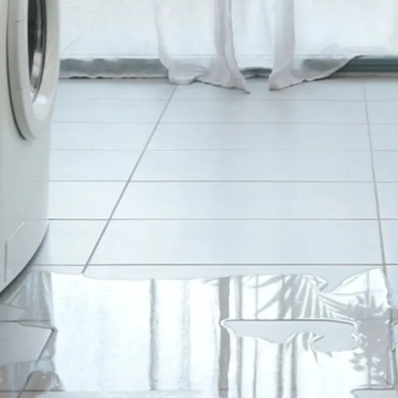 Appliance Leak Cleanup in Sheridan, IL
