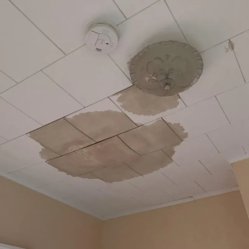 Ceiling Water Damage Repair in Sheridan, IL