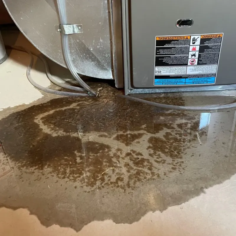 Pipe Burst and Leak Restoration in Sheridan, IL