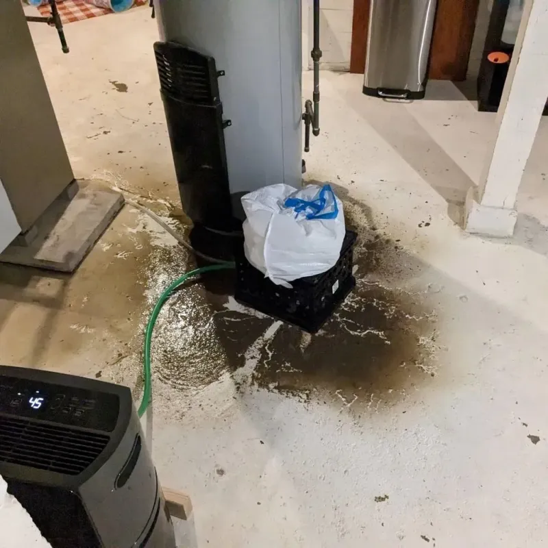 Sewage Backup Cleanup Service in Sheridan, IL